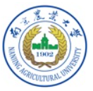 南京农业大学图书馆 v2.0
