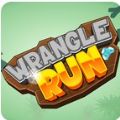 Wrangle Run v0.1