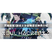 《灵魂骇客2》有中文吗?游戏文字音频语言种类介绍