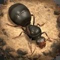 小小蚁国国际服下载安装下载-小小蚁国国际服下载安装官方版（The Ants） v3.0.0