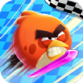 愤怒的小鸟赛车游戏下载-愤怒的小鸟赛车游戏内置菜单免广告下载（美服） v0.1.2674