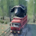 欧洲卡车驾驶模拟器游戏下载-欧洲卡车驾驶模拟器游戏最新版 1.0