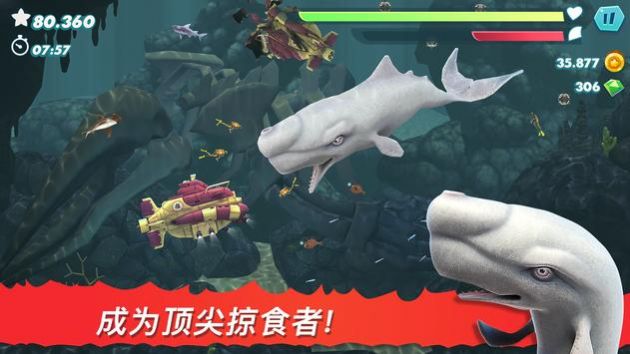 饥饿鲨进化2023最新版下载安装官方版图片1